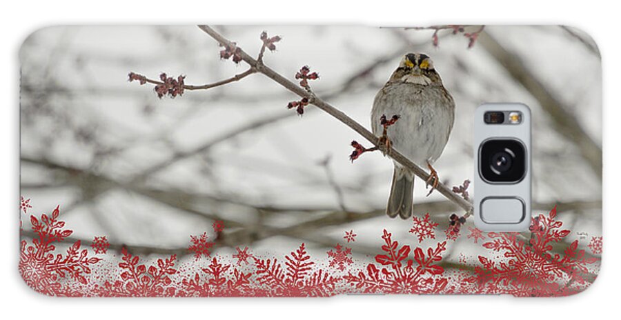 Christmas Galaxy Case featuring the mixed media Finch Christmas by Trish Tritz