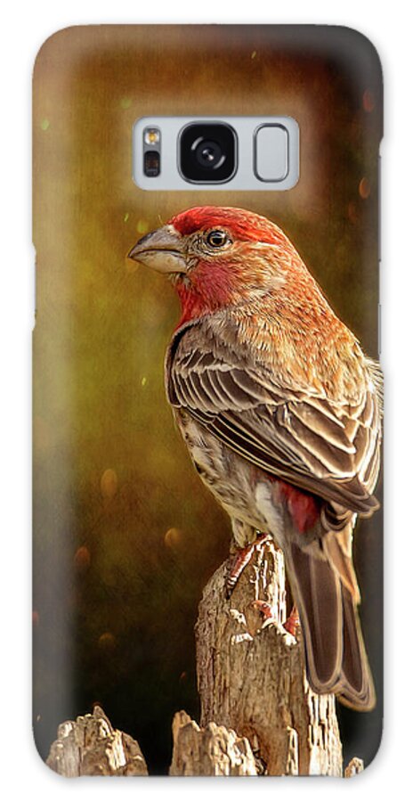 Animal Galaxy Case featuring the photograph Finch From The Back by Bill and Linda Tiepelman