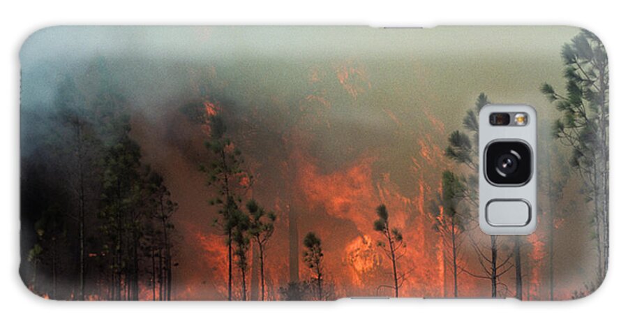 Big Cypress National Preserve Galaxy Case featuring the photograph Fire in the Pines by Robert Potts