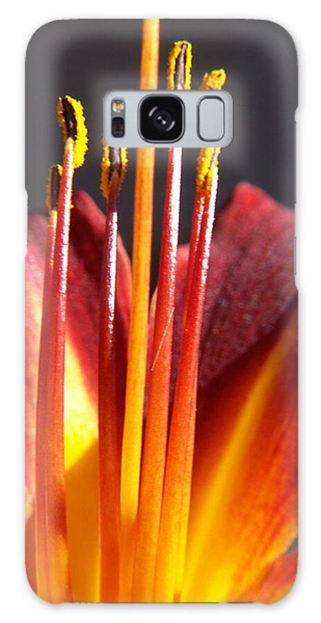 Fire Lily Galaxy Case featuring the photograph Fire Lily 1 by Amy Fose