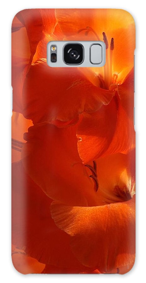 Flowers Galaxy S8 Case featuring the photograph Fire Whispers by Danielle R T Haney