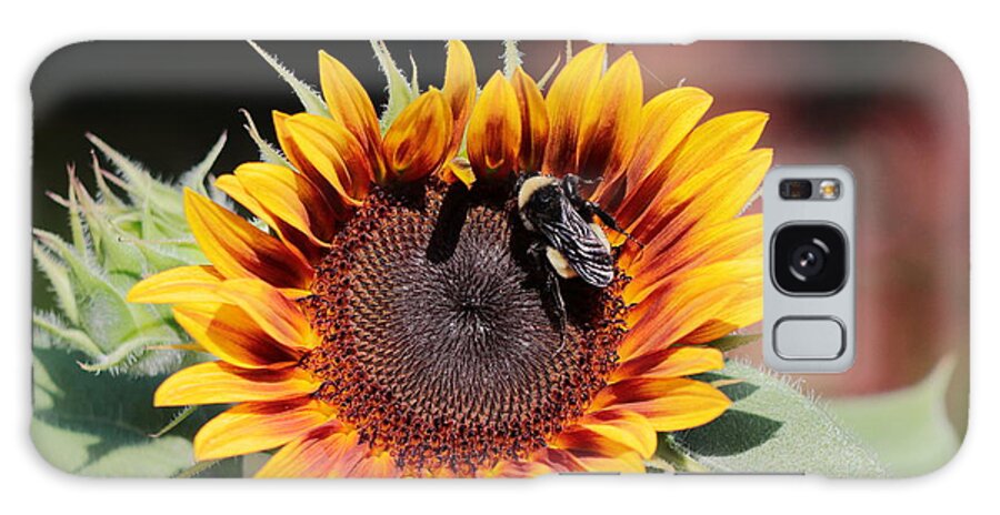 Sunflower Galaxy Case featuring the photograph Firecracker by John Moyer