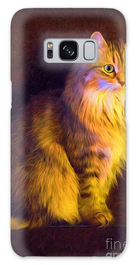 Nature Galaxy Case featuring the photograph Fireside Feline by Sharon McConnell