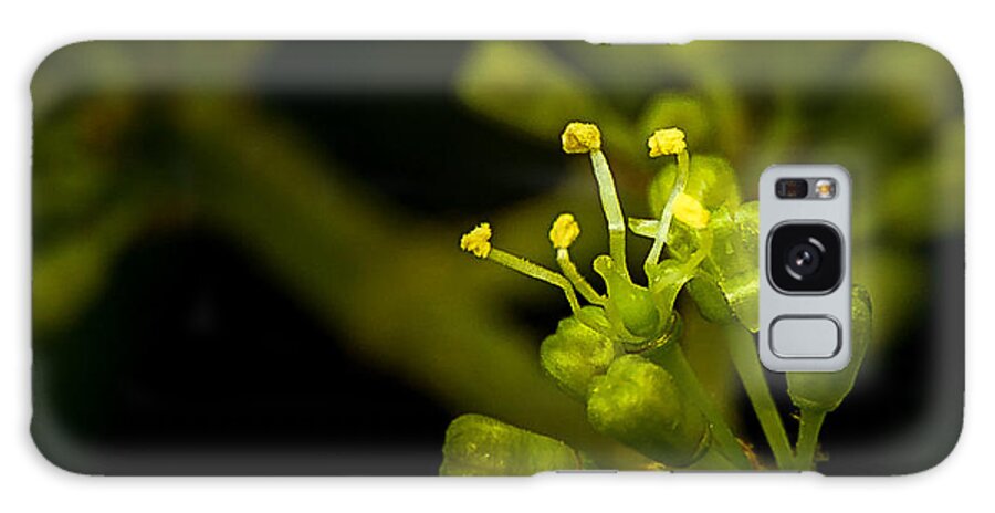 Macro Galaxy Case featuring the photograph First flower by Len Romanick