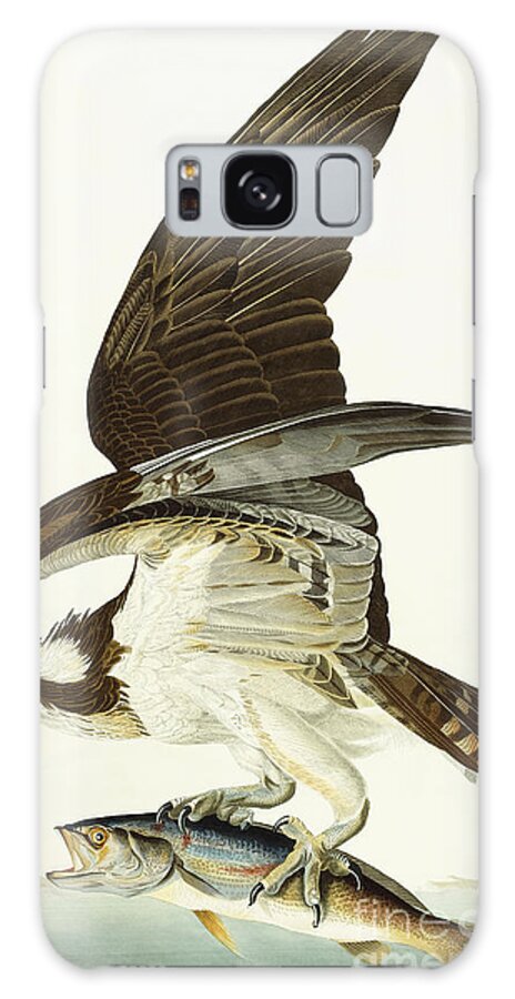 Osprey Galaxy Case featuring the painting Fish Hawk by John James Audubon