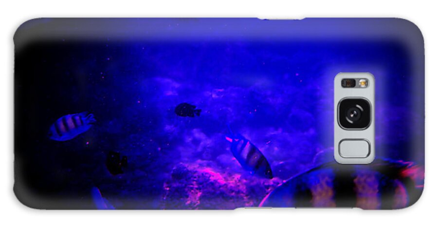 Fish Galaxy Case featuring the photograph Fish Tank Dark by Michael Blaine
