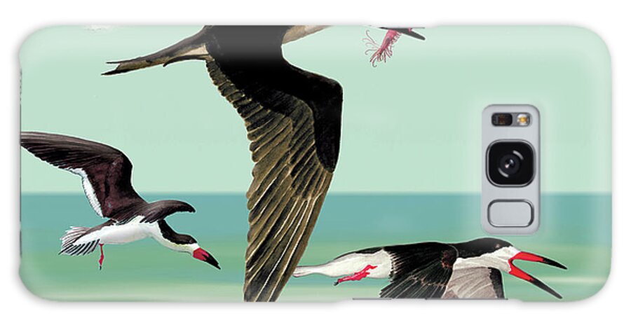 Black Skimmers Galaxy Case featuring the painting Fishing in the Gulf by Anne Beverley-Stamps