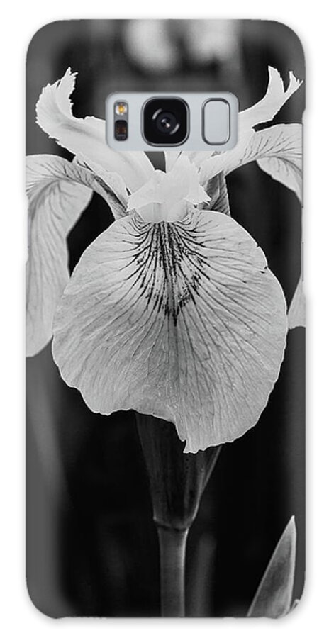 Iris Galaxy Case featuring the photograph Flag Iris Black and White by Jeff Townsend