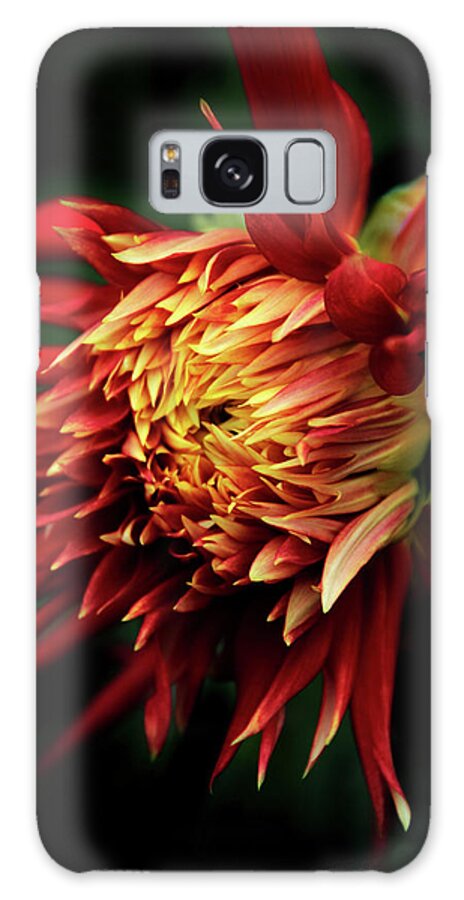 Dahlia Galaxy Case featuring the photograph Flaming Dahlia by Jessica Jenney