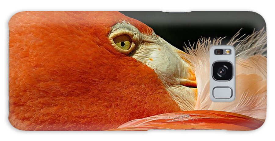 Flamingo Galaxy Case featuring the photograph Flamingo by Denise Winship