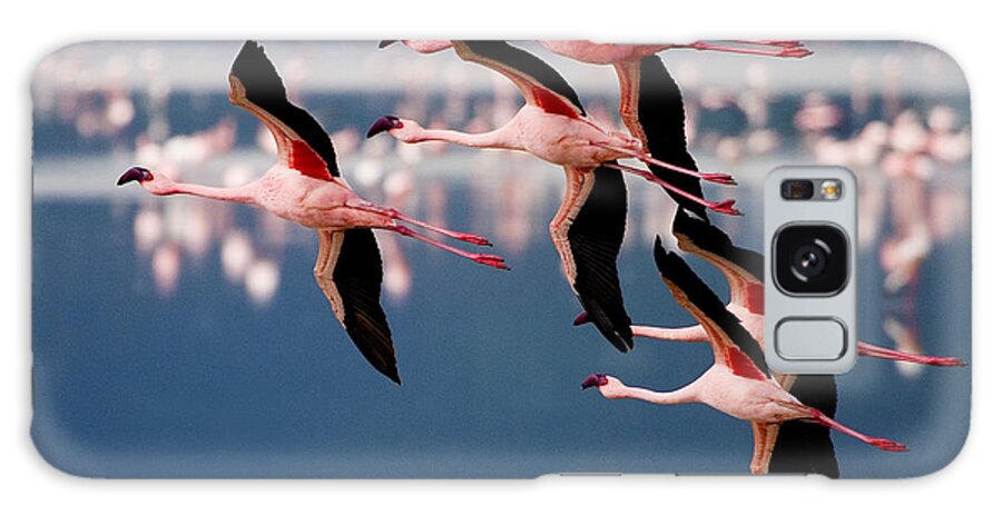 Phoenicopterus Rosens Galaxy S8 Case featuring the photograph Flamingos In Flight-Signed by J L Woody Wooden