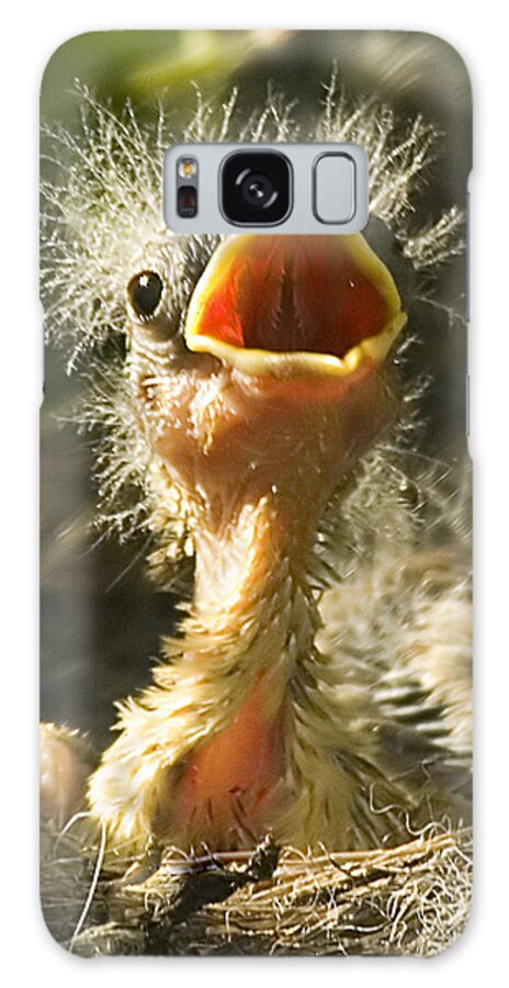 Yellow Warbler Galaxy S8 Case featuring the photograph Fledgling Yellow Warbler by Gary Beeler