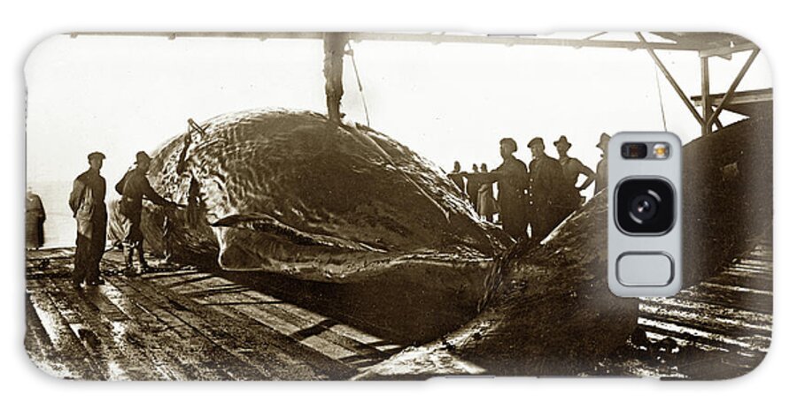 Moss Landing Galaxy Case featuring the photograph Flensing a Sperm Whale in the try works of the Moss Landing Whaling 1919 by Monterey County Historical Society