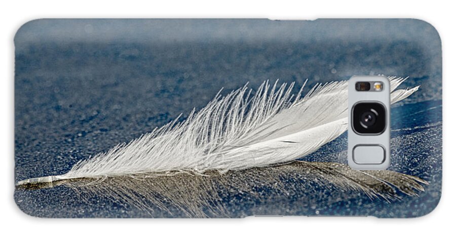 Feather Galaxy Case featuring the photograph Floating Feather Reflection by Robert Potts