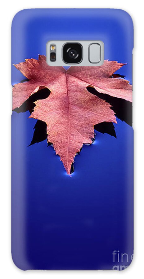 Floating Galaxy Case featuring the photograph Floating Leaf 2 - Maple by Dean Birinyi