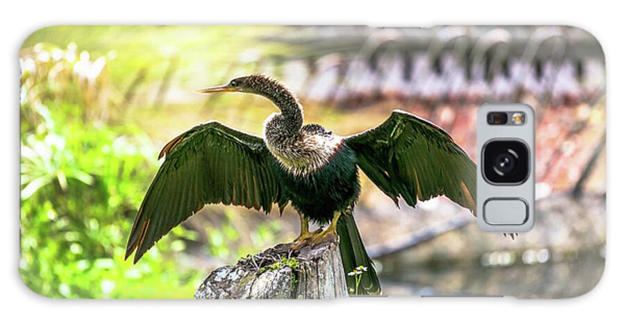 Cormorants Galaxy Case featuring the photograph Florida Anhinga Drying His Wings by Rene Triay FineArt Photos