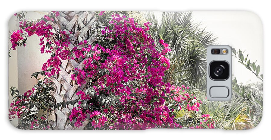 Florida Galaxy Case featuring the photograph Florida Garden by Todd Blanchard