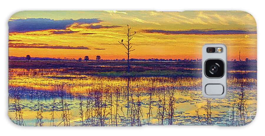 Nature Galaxy Case featuring the photograph Florida Nature Paradise 2 by DB Hayes