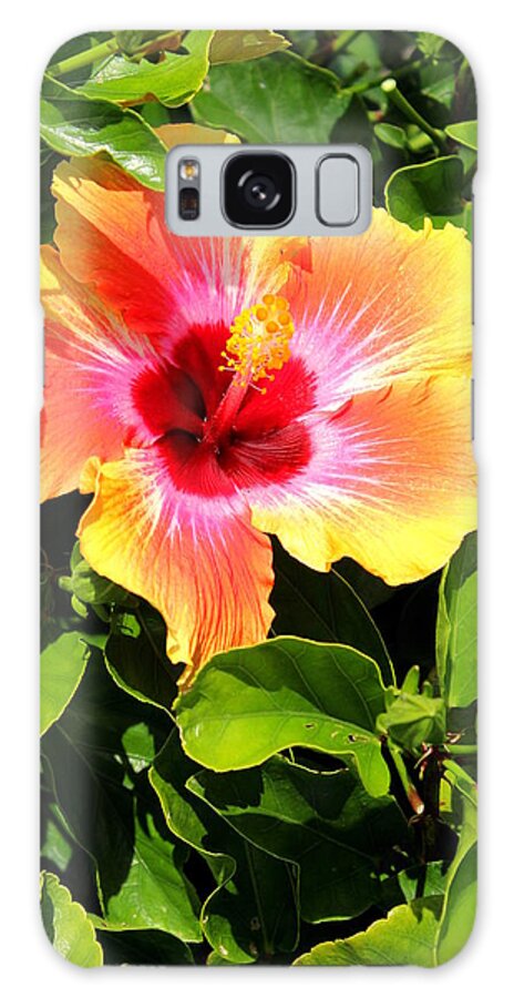 Flower Galaxy Case featuring the photograph Flower 7 by John Olson