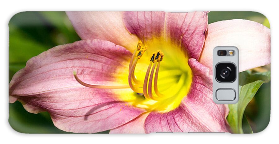 Flower Galaxy Case featuring the photograph Flower by Mike Dunn