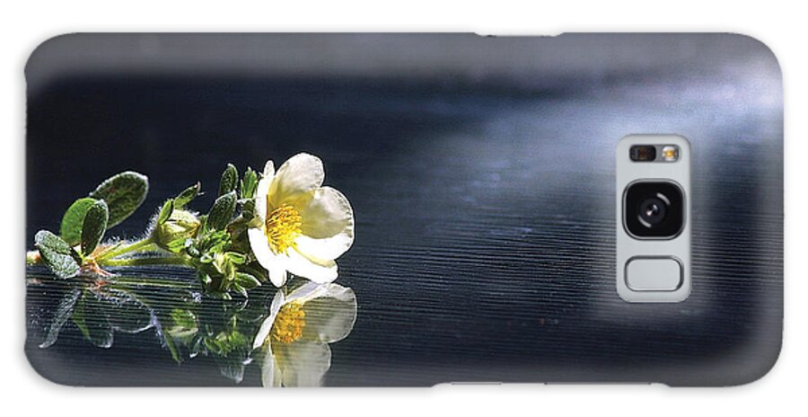 Flower Galaxy Case featuring the photograph Flower Reflection by Steve Somerville