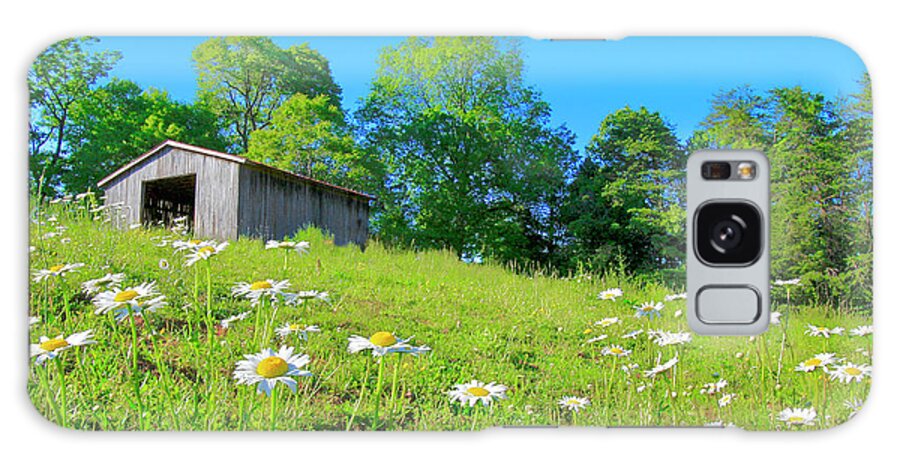 Barn Galaxy Case featuring the photograph Flowering Hillside Meadow - View 2 by The James Roney Collection