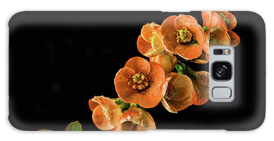 Quince Galaxy Case featuring the photograph Flowering Quince Orange by Mary Jo Allen