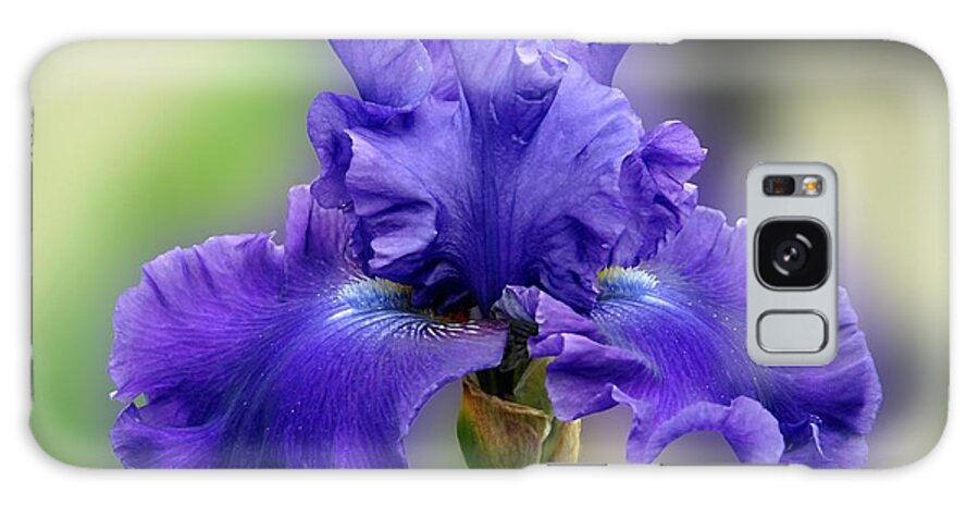 Iris Flowers Galaxy Case featuring the photograph Flowers 715 by Joyce StJames