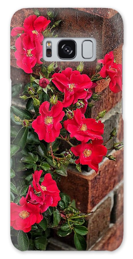 Flowers Galaxy Case featuring the photograph Flowers and Bricks by Buck Buchanan