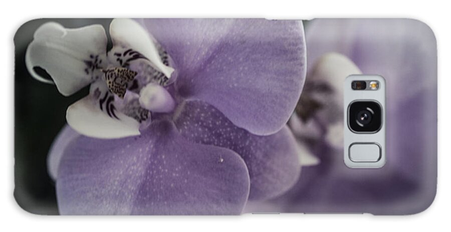 Beautiful Galaxy Case featuring the photograph Flowers in the Morning by Miguel Winterpacht