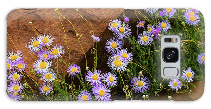Flowers Galaxy Case featuring the photograph Flowers in the Rocks by Darren White