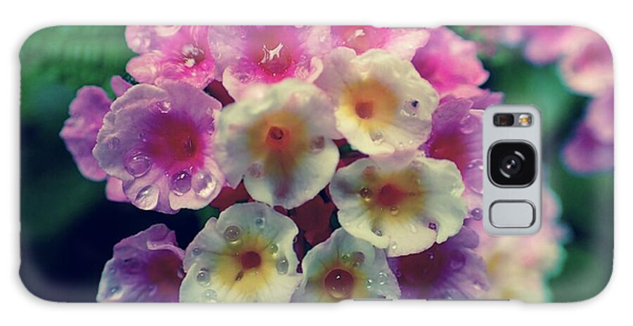 Boquete Galaxy Case featuring the photograph Flowers Of Boquete Panama by Lora Louise