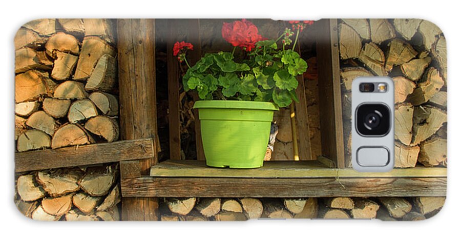 Woodshed Galaxy Case featuring the photograph Flowers on the woodshed window by Nicola Aristolao
