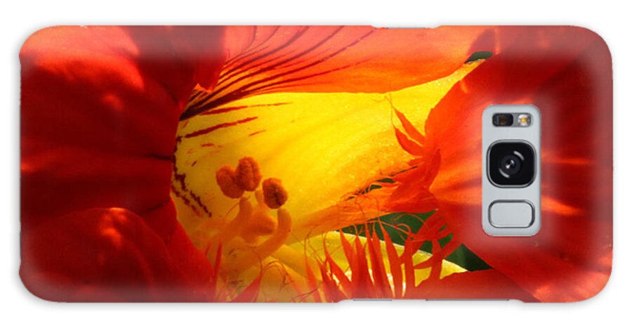 Orange Galaxy S8 Case featuring the photograph Flowerscape Nasturtium Two by Laura Davis