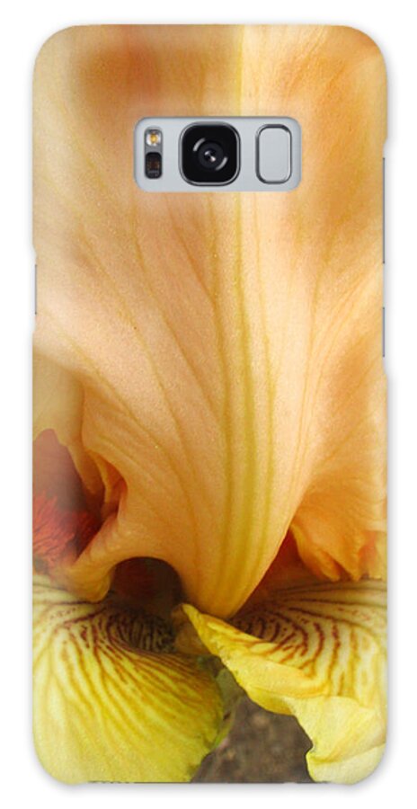 Yellow Galaxy Case featuring the photograph Flowerscape Yellow Iris One by Laura Davis