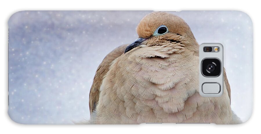 America Galaxy Case featuring the photograph Fluffy Mourning Dove by Al Mueller