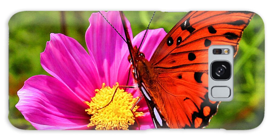 Butterfly Galaxy Case featuring the photograph Fritillary Flutterby by Kristin Elmquist