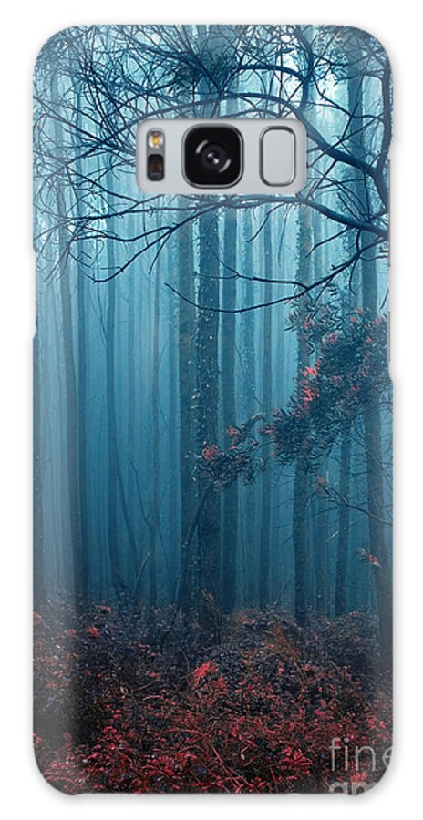 Nobody Galaxy S8 Case featuring the photograph Foggy Forest by Carlos Caetano