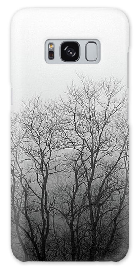 Landscape Galaxy Case featuring the photograph Foggy Morning by Kevin Gladwell