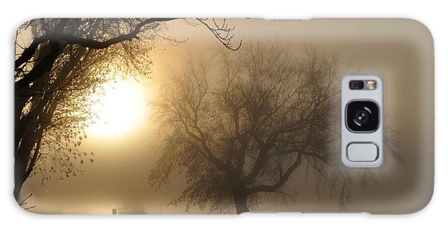 Foggy Galaxy Case featuring the photograph Foggy November Sunrise on the Bay by Tim Nyberg