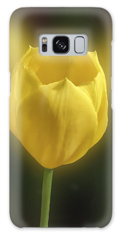 Mom Galaxy Case featuring the photograph For Mom too by Richard Stedman