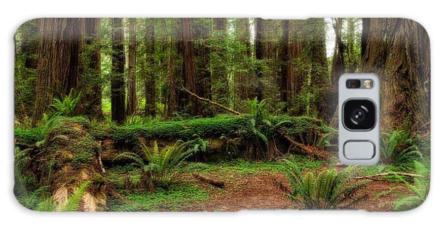 Forest Court Galaxy Case featuring the photograph Forest Court by George Buxbaum