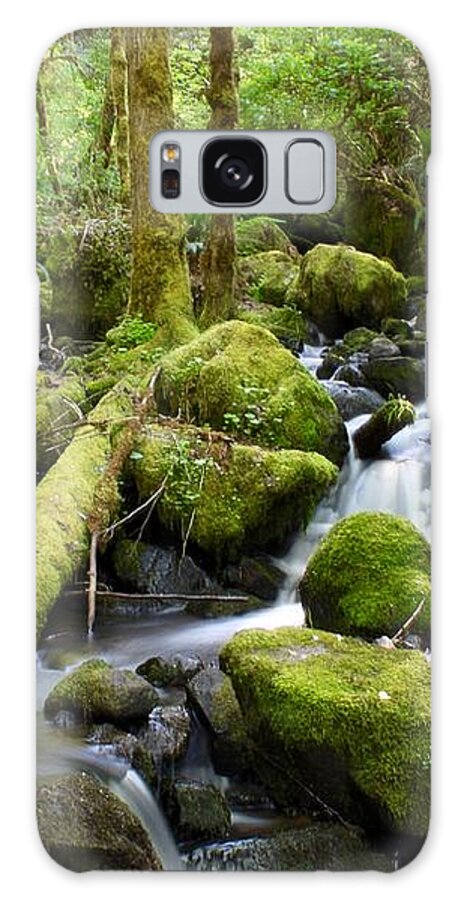 Creek Galaxy Case featuring the photograph Forest Creek by Brian Eberly