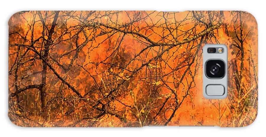 Blaze Galaxy Case featuring the photograph Forest fire by Benny Marty