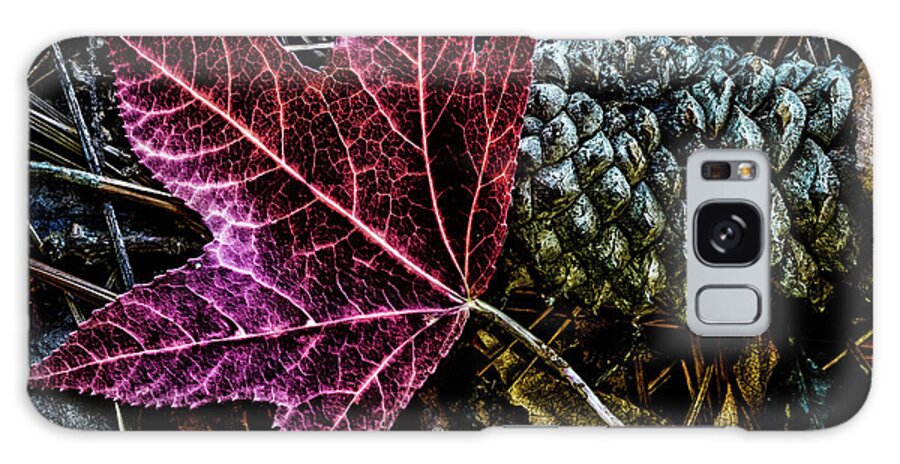 Landscape Galaxy Case featuring the photograph Forest Floor by Joe Shrader
