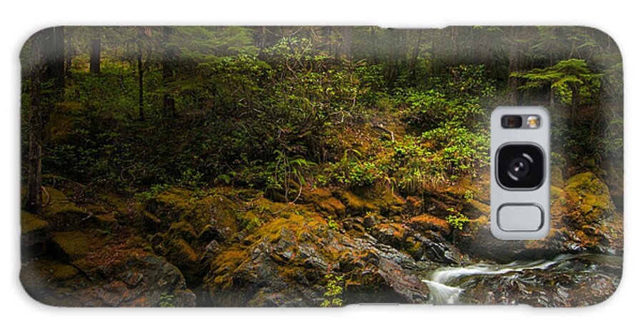 Opal Creek Galaxy Case featuring the photograph Forest Light #2 by Larry Goss