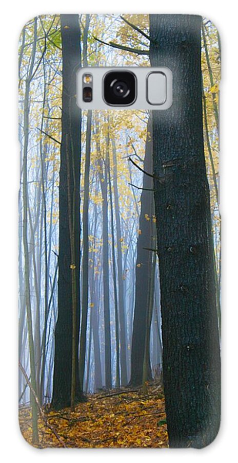  Galaxy Case featuring the photograph Forest in Fog by Polly Castor