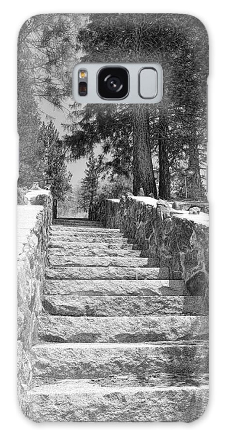 Forest Stairway Galaxy Case featuring the photograph Forest Stairway by Glenn McCarthy Art and Photography