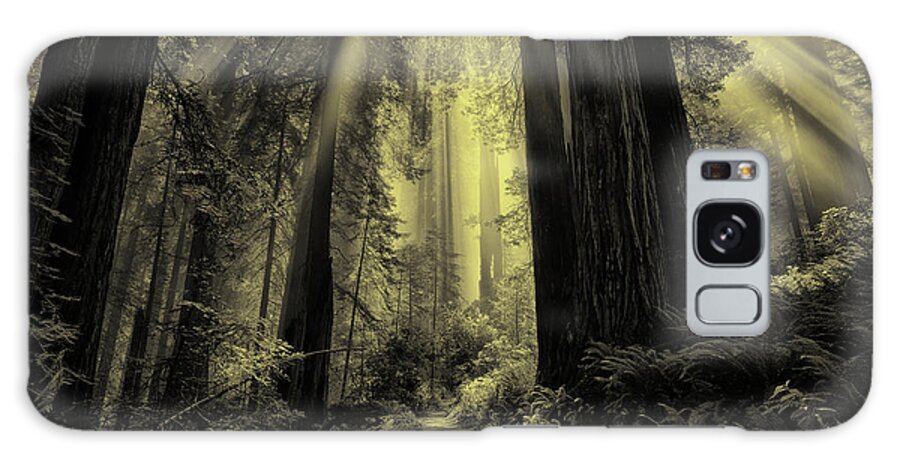 Redwood National Park Galaxy Case featuring the photograph Forest Sunbeams Black and White by Greg Norrell