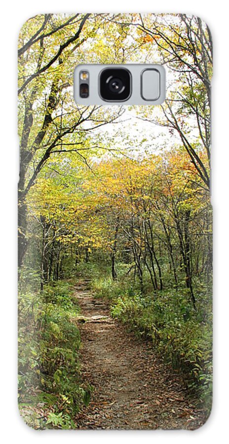 Bright Path Galaxy Case featuring the photograph Forest Trail by Allen Nice-Webb